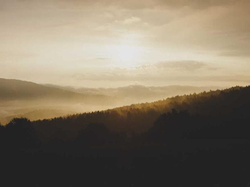 Single Image Display