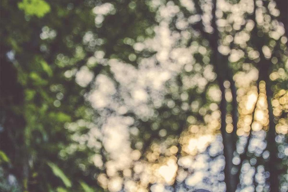 Before and after comparison - Before